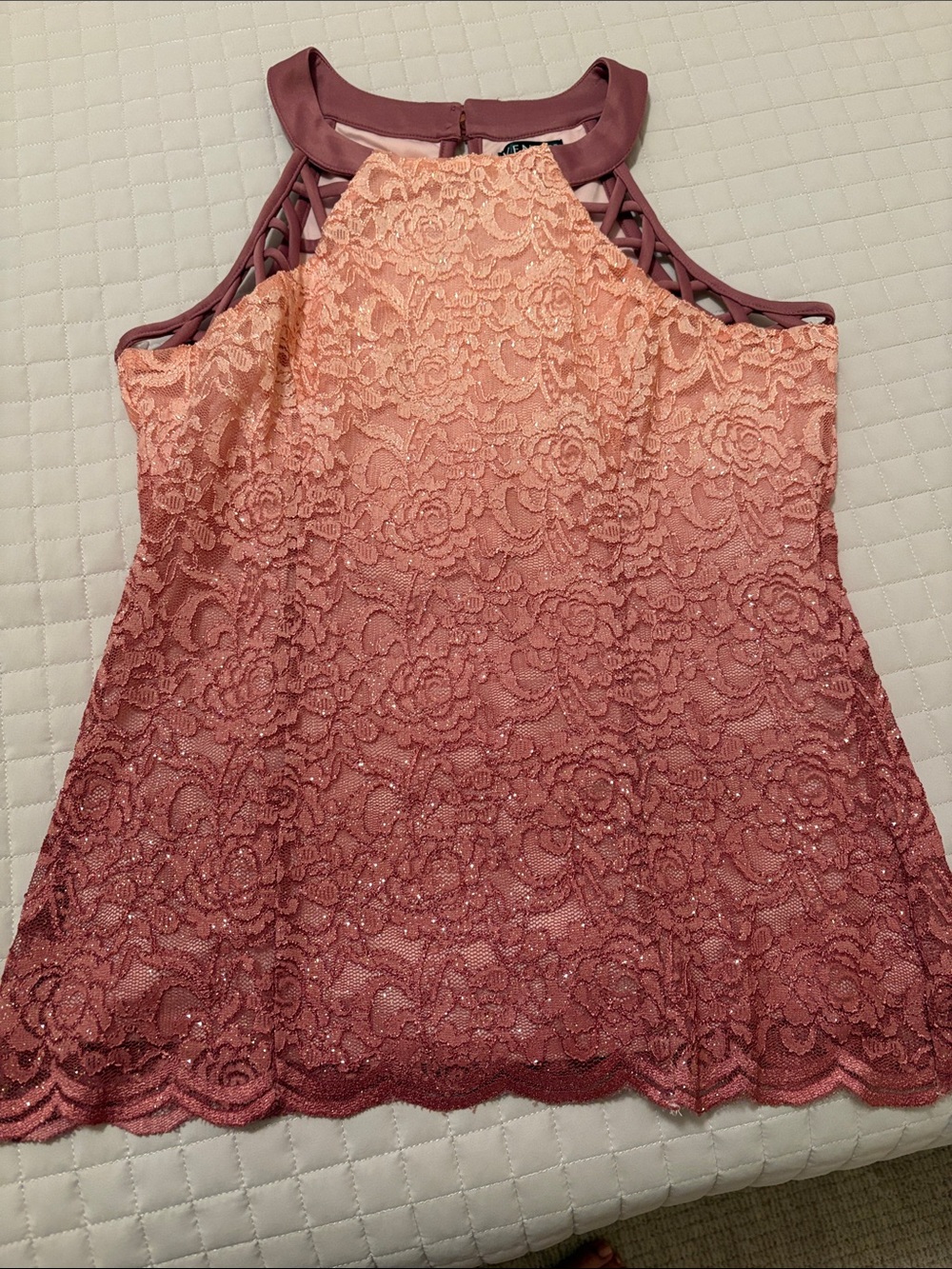 VENUS Pink to Mauve Ombre Lace Halter Tank - Tags Removed But Never Worn!